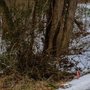 37-037-Chatham-Parcel-69397-JonesFerryRd