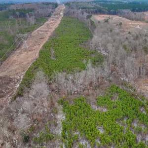 05-005-Chatham-Parcel-69397-JonesFerryRd