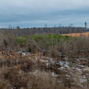 28-028-Chatham-Parcel-69397-JonesFerryRd