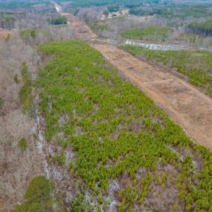 13-013-Chatham-Parcel-69397-JonesFerryRd