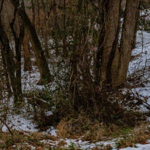 38-038-Chatham-Parcel-69397-JonesFerryRd