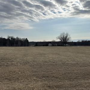 View Across the Meadow