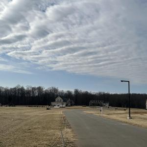 The Meadow Street View