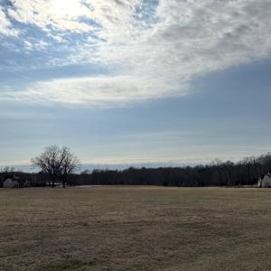 View Across The Meadow