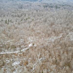 05-DJI_20260205131254_0609_D