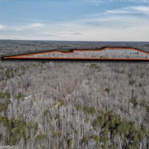 37-DJI_20260213103433_0032_D