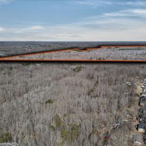 38-DJI_20260213103453_0037_D