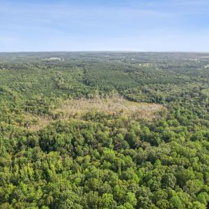 3-print-DJI_0025