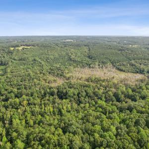 4-print-DJI_0026