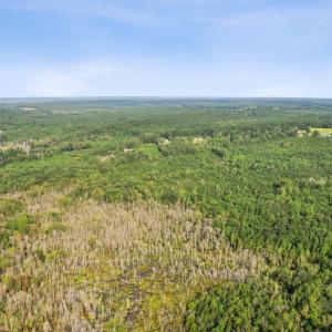 5-print-DJI_0029