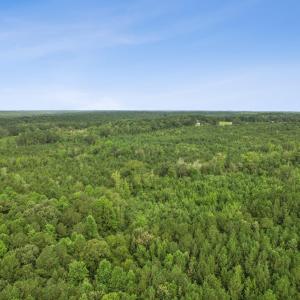 7-print-DJI_0042