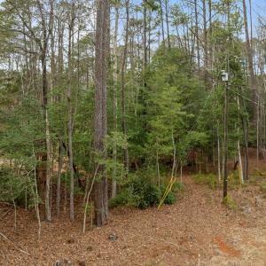 11-web-or-mls-DJI_0999