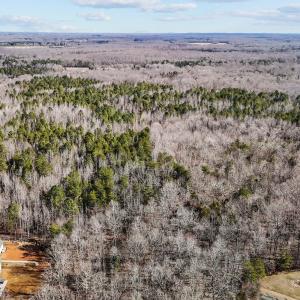 10-web-or-mls-DJI_20250217105819_0031_D