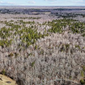 11-web-or-mls-DJI_20250217105850_0032_D