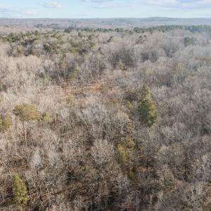 12-web-or-mls-DJI_0233