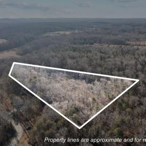 2-web-or-mls-DJI_0223_1