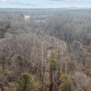 11-web-or-mls-DJI_0232