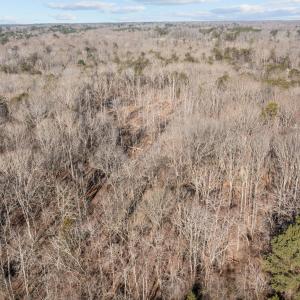 14-web-or-mls-DJI_0235