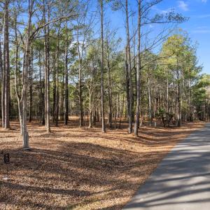 9-web-or-mls-DJI_0957