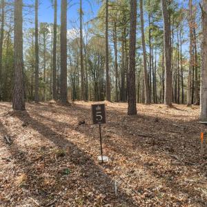 7-web-or-mls-DJI_0955