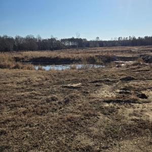 Cleared field Creek Landscape