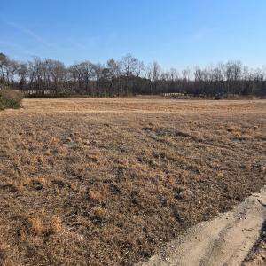 Front field Landscape