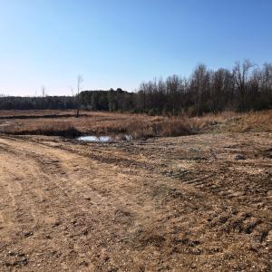 Path over creek Portrait
