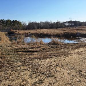 West Buies Creek Portrait