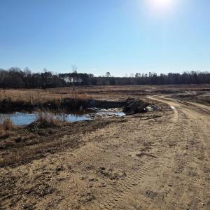 Front to back Landscape creek culverts