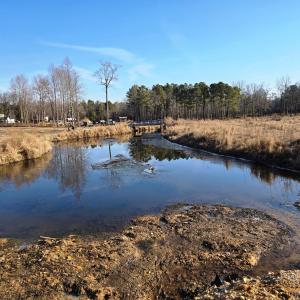 Creek from Culvert Landscape