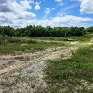 Back to Front of Property Showing Creek