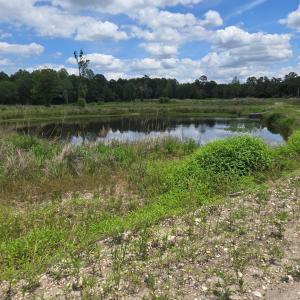 Buis creek and culvert