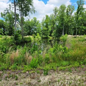 First Pond