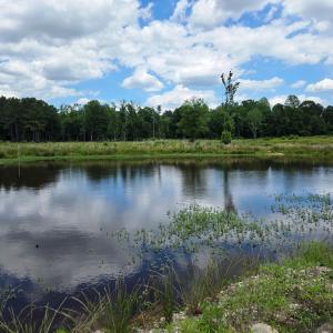 Pond 2a