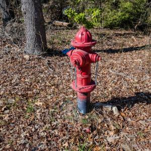 Copy of Ground - 6724 Wimberly-4