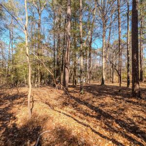 Copy of Ground - 6724 Wimberly-7