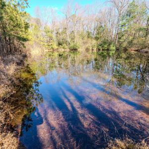 Copy of Ground - 6724 Wimberly-12