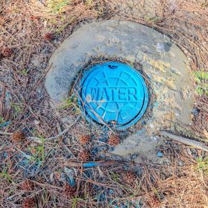 Copy of Ground - 6724 Wimberly-3