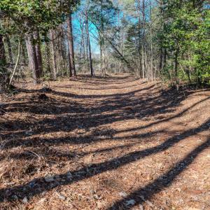 Copy of Ground - 6724 Wimberly-6