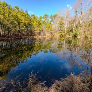 Copy of Ground - 6724 Wimberly-16