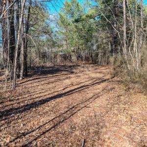 Copy of Ground - 6724 Wimberly-11