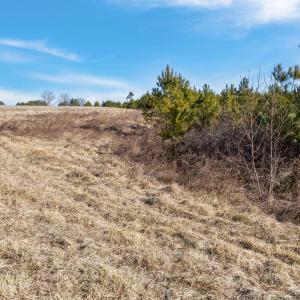 7-web-or-mls-06-IMG_1699