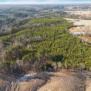 3-web-or-mls-02-dji_20260212085911_0001_