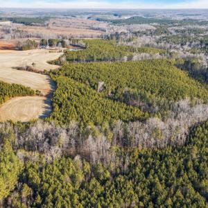 5-web-or-mls-04-dji_20260212090239_0007_