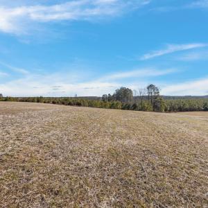 8-web-or-mls-07-IMG_1711