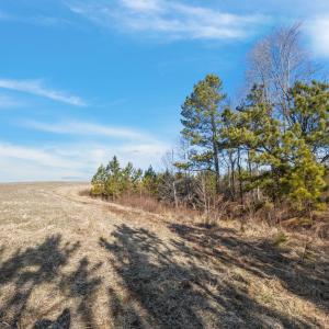 9-web-or-mls-08-IMG_1708