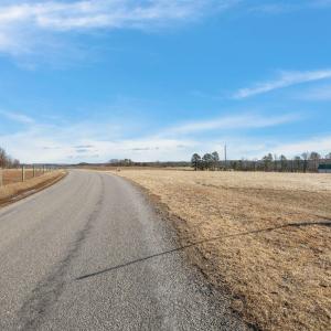 10-web-or-mls-09-IMG_1712