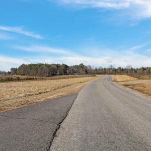 11-web-or-mls-10-IMG_1713