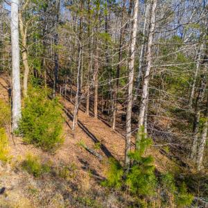 Pickett Lane Lot 21-5