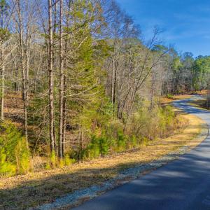 Pickett Lane Lot 21-6